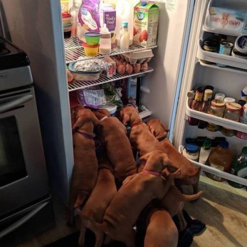 Жена собирает мужа на рыбалку анекдоты,веселье,демотиваторы,приколы,смех,юмор