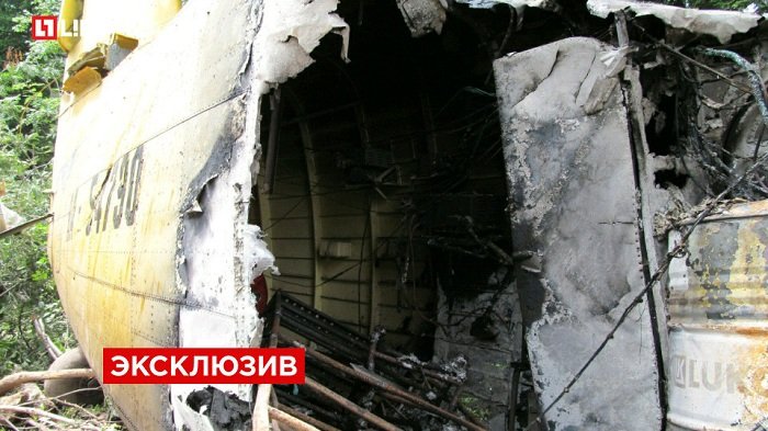 В Сети появились первые фото с места крушения Ан-2 в Кемеровской области