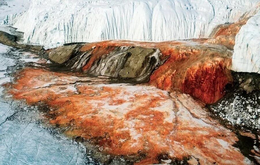Кровавый водопад — пугающее зрелище в Антарктике Восточной, которые, леднике, озеро, которое, образовалось, назадВ, озере, обитают, микроорганизмы, одним, результатов, жизнедеятельности, которых, являются, железа, очередь, является, соединяясь, кислородом