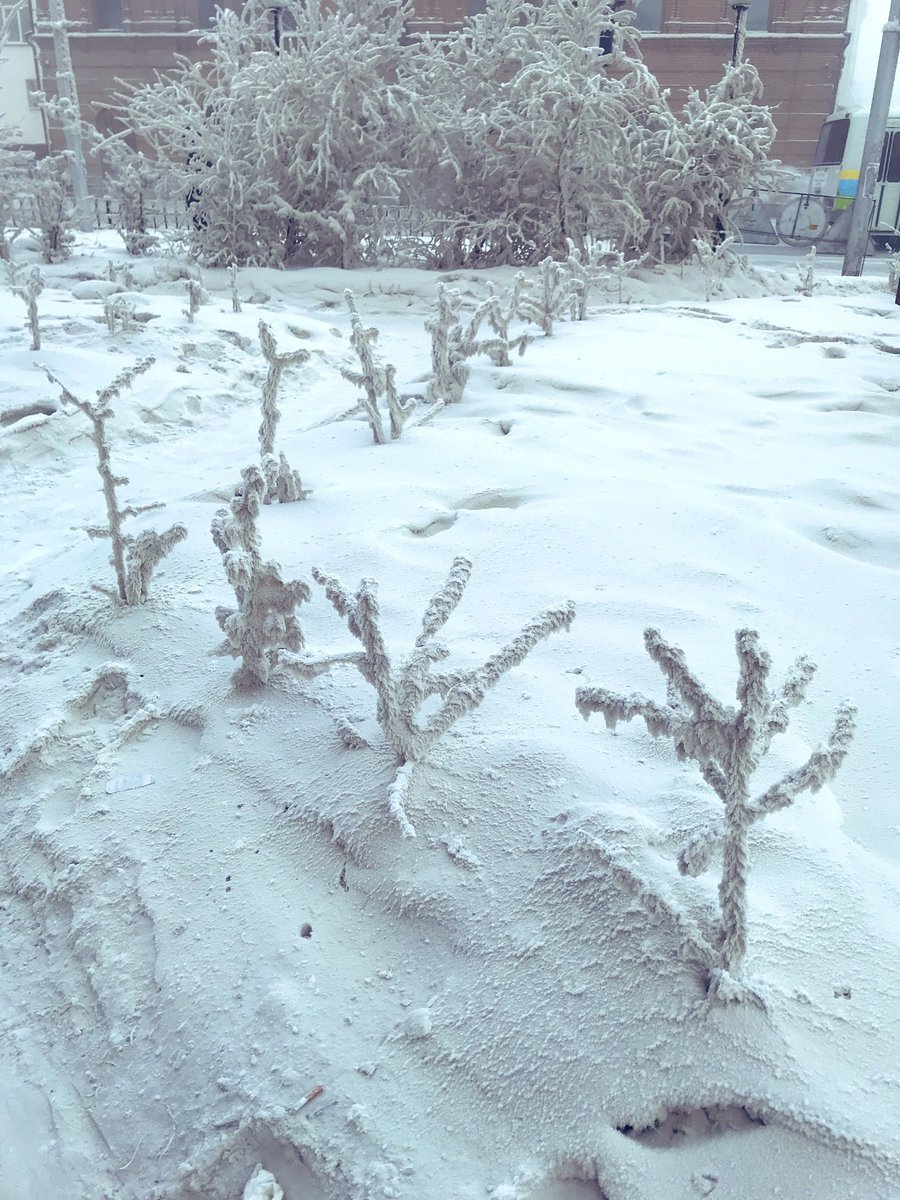 -50 °C — это красиво: блогерша рассказала о прогулке по Якутску в мороз -50 °C — это красиво: блогерша рассказала о прогулке по Якутску в мороз