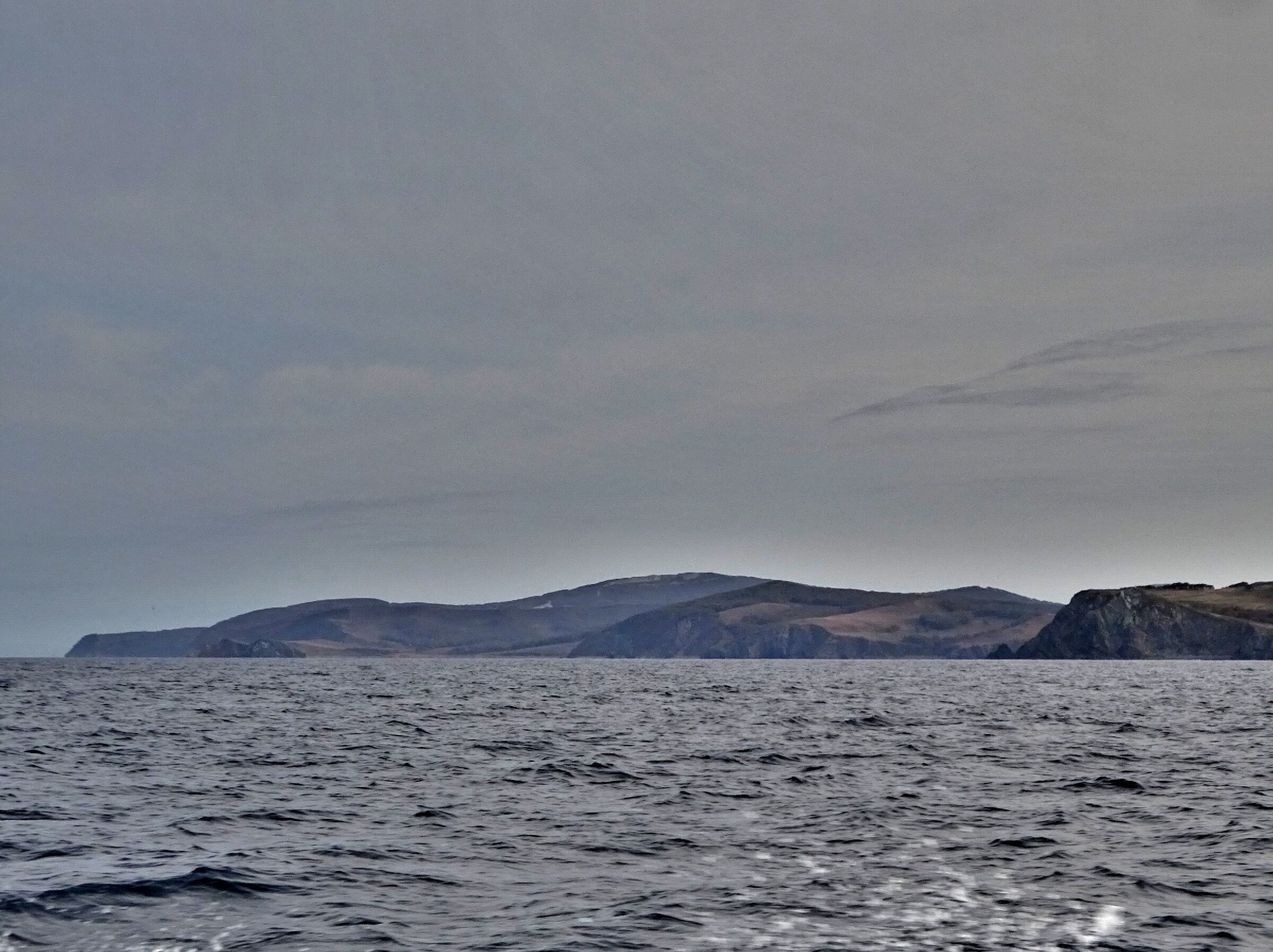 Путешествие к тюленям Ларги. Камни Унковского Путешествие к тюленям Ларги. Камни Унковского