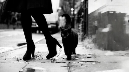 Я пойду с вами!