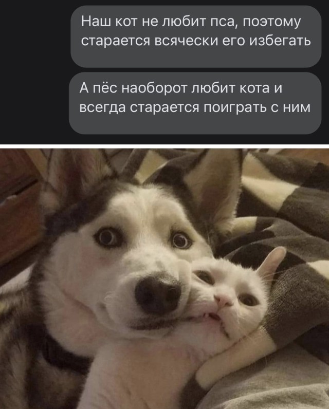 Подборка прикольных картинок Подборка прикольных картинок смешные картинки,фото-приколы,юмор