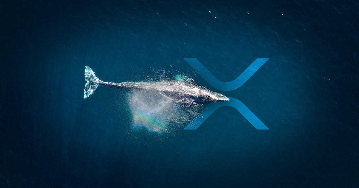 xrp-whale-social.jpg