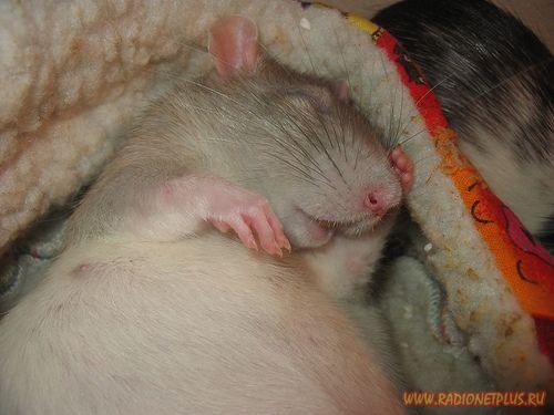 Забавные фотки(21фото)