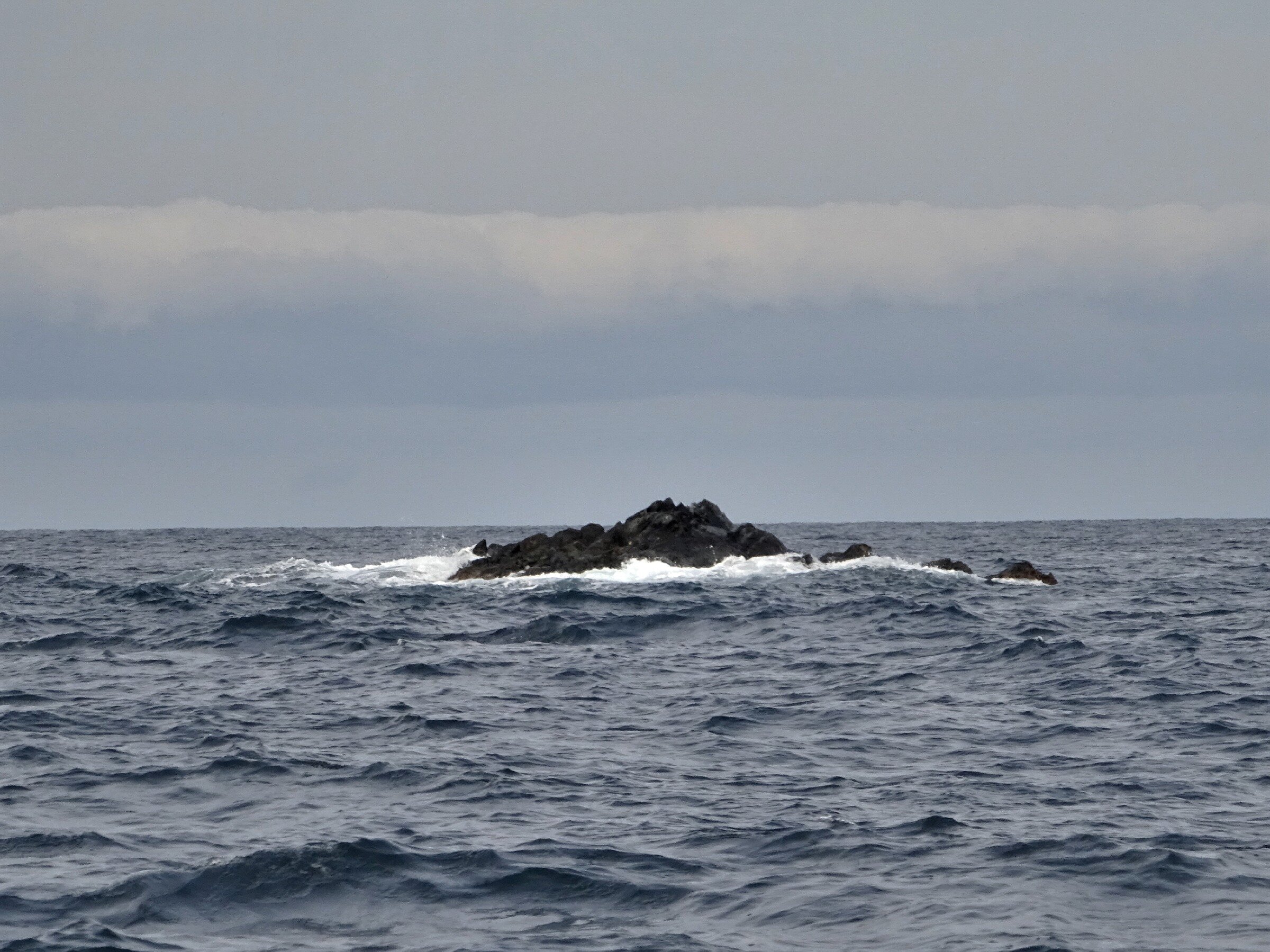 Путешествие к тюленям Ларги. Камни Унковского Путешествие к тюленям Ларги. Камни Унковского