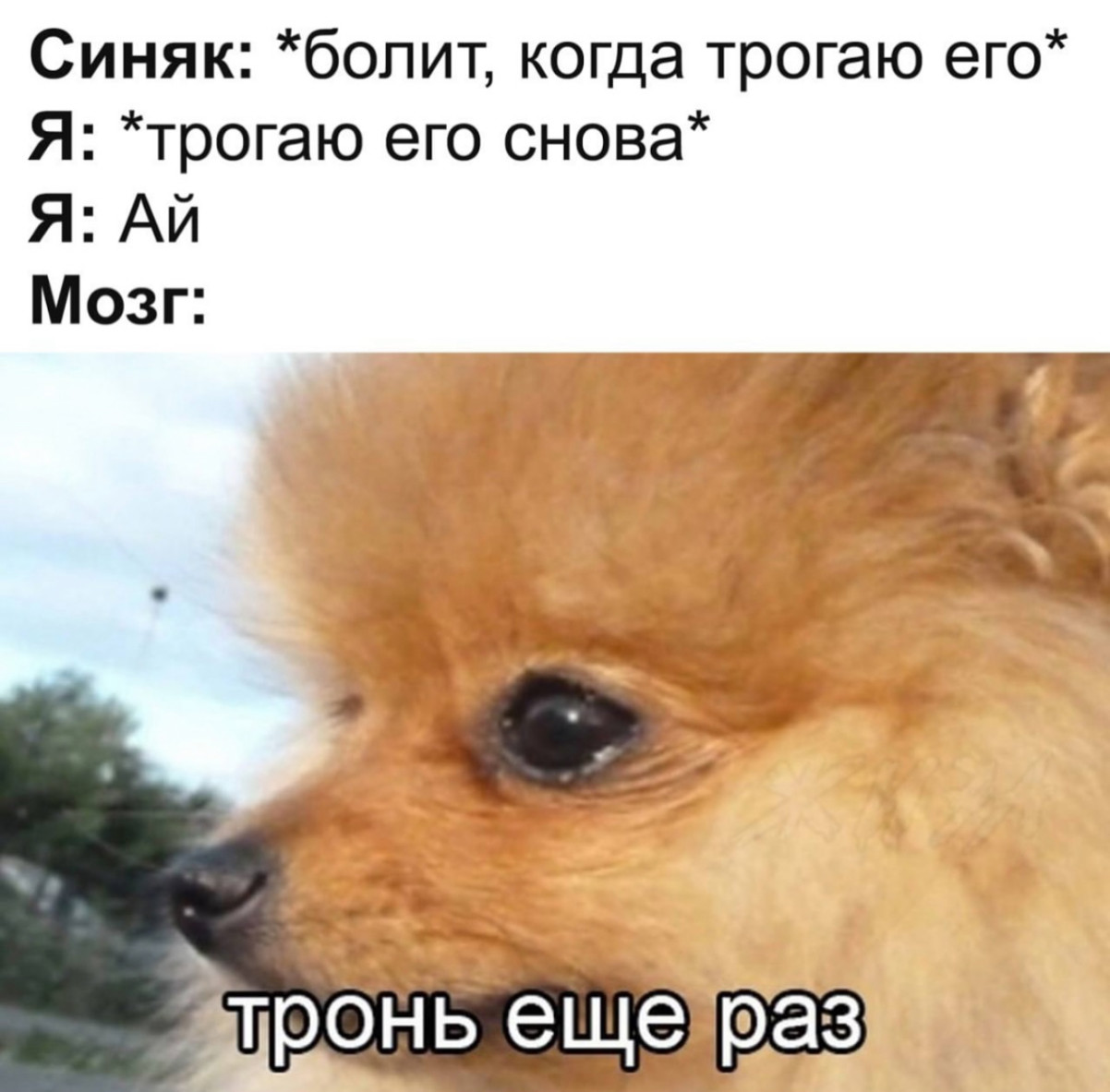 Интернет мемы в понедельник и что водит дьявол Интернет мемы в понедельник и что водит дьявол