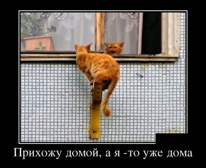 Демотивирующий юмор в картинках: «Нашёл прошлогодний пельмень…» 