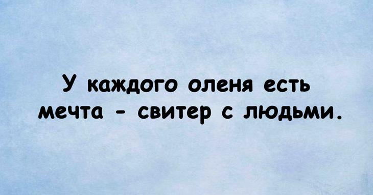 Юмористическая подборка, способная сотворить чудо с настроением 