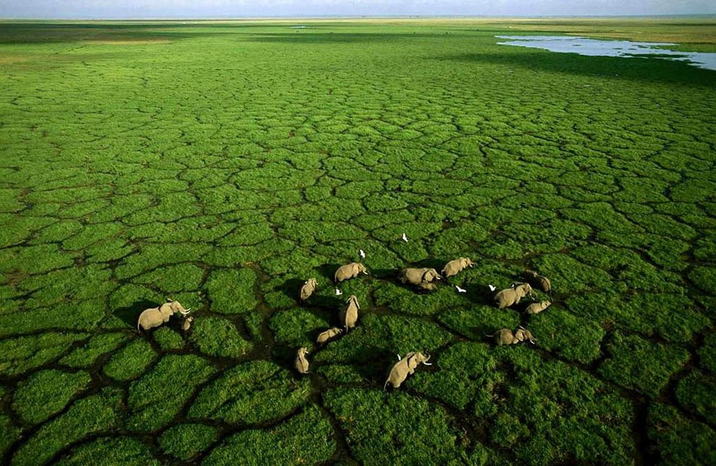 Красное озеро Натрон (Lake Natron)