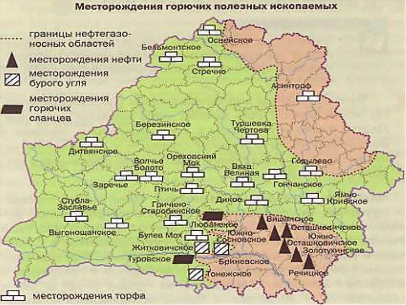 Почему не горят леса Белоруссии геополитика,россия