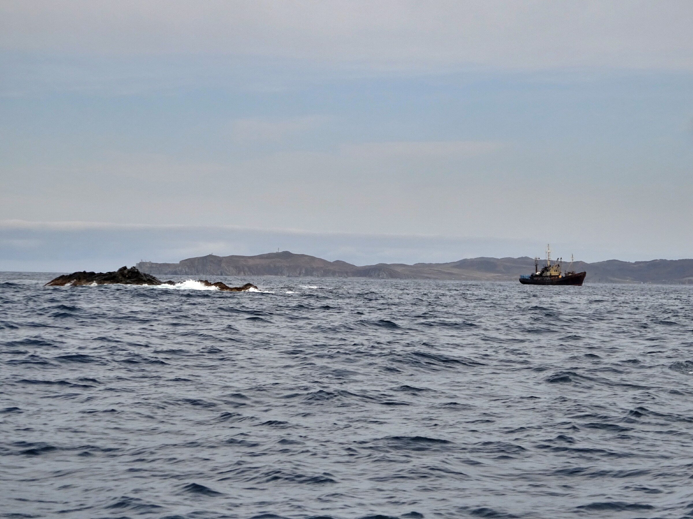 Путешествие к тюленям Ларги. Камни Унковского Путешествие к тюленям Ларги. Камни Унковского