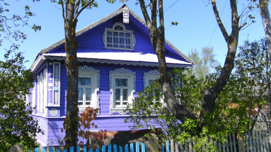 Садовод Воронова дала советы по борьбе с назойливыми мошками в Подмосковье