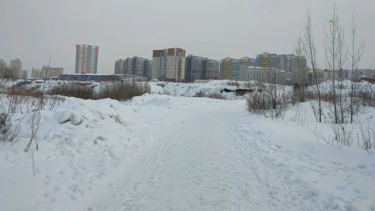 Барнаульские активисты самостоятельно создают концепцию парка за ТЦ 