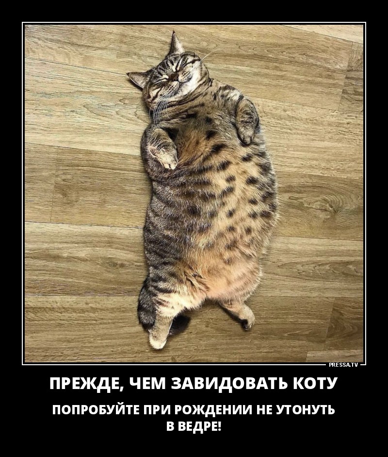 Завидовать это