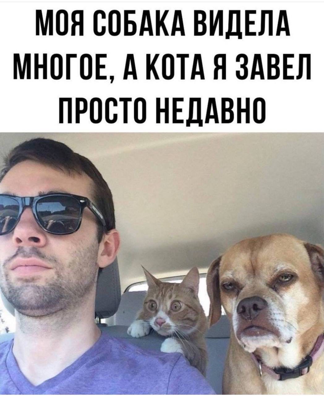 Личные данные в сети какие-то жидкие. Постоянно утекают  Залог, крепкой, онлайндружбы, регулярное, облайкивание, Конькобежец, Анголы, принёс, своей, сборной, медали, никто, знает , Продолжим , чуть , позже