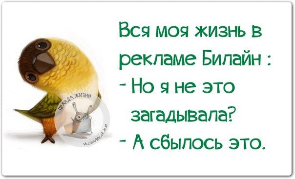Картавая девочка не говорит на людях слово "атрибут"... Картавая девочка не говорит на людях слово "атрибут"... анекдоты,демотиваторы,приколы,юмор