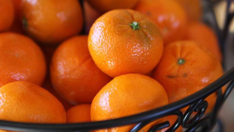 Абхазский биолог Сабекия дал советы по выбору мандаринов
