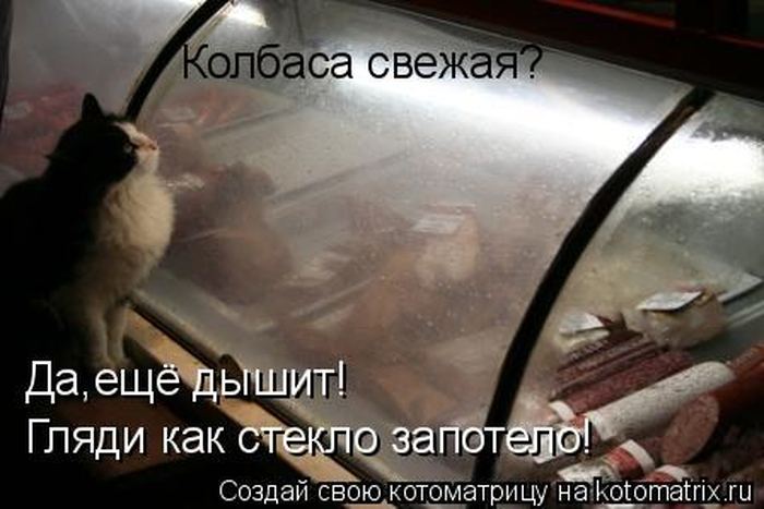 Мысли вслух :)