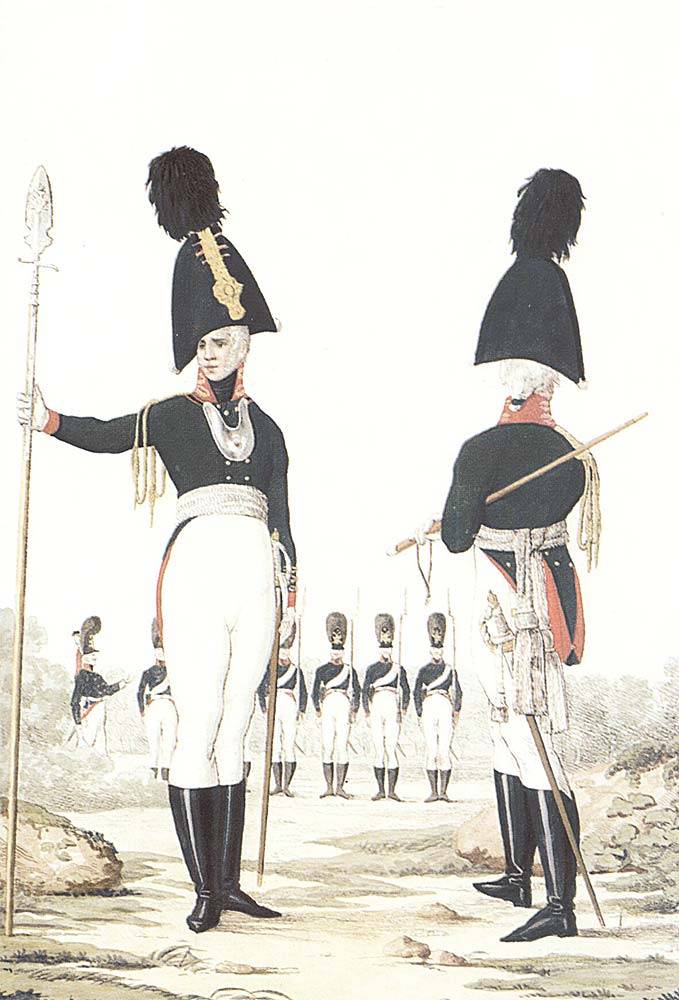 Военные моды Аустерлица: российская императорская армия Военные моды Аустерлица: российская императорская армия история