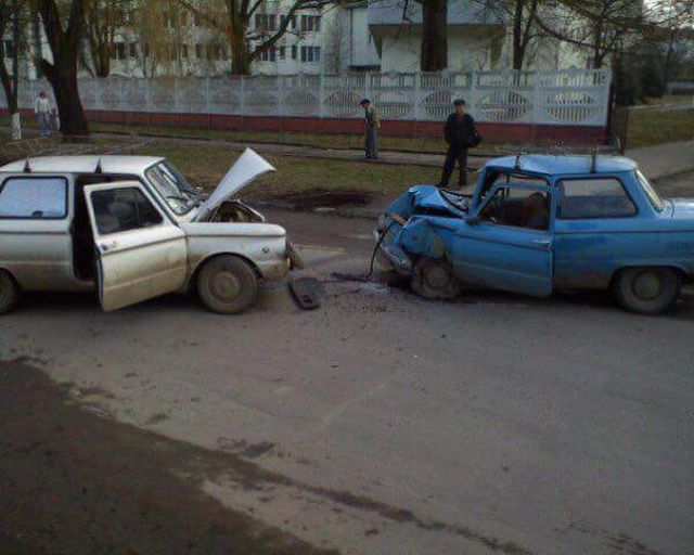 Прикольные картинки для хорошего и позитивного настроения красивые фотографии,приколы,прикольные картинки,юмор