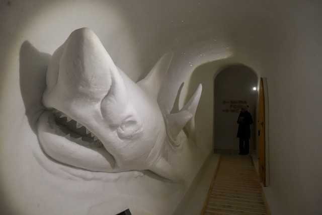 Иглу класса люкс на вершине горы Иглу класса люкс на вершине горы юмор