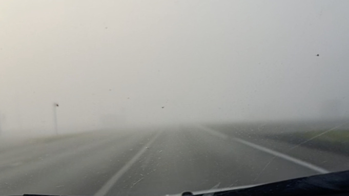 Туман в Алтайском крае / Кадр из видео: 