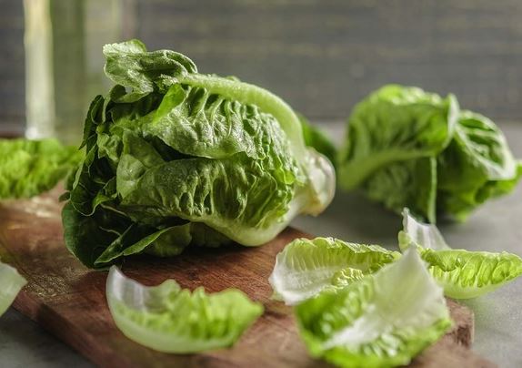 Сезон сочного салата: виды и применение в кулинарии вкусные новости,зелень,салат