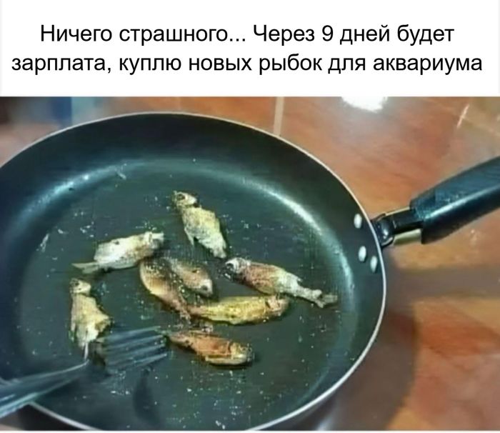 Интернет мемы в понедельник и что водит дьявол Интернет мемы в понедельник и что водит дьявол