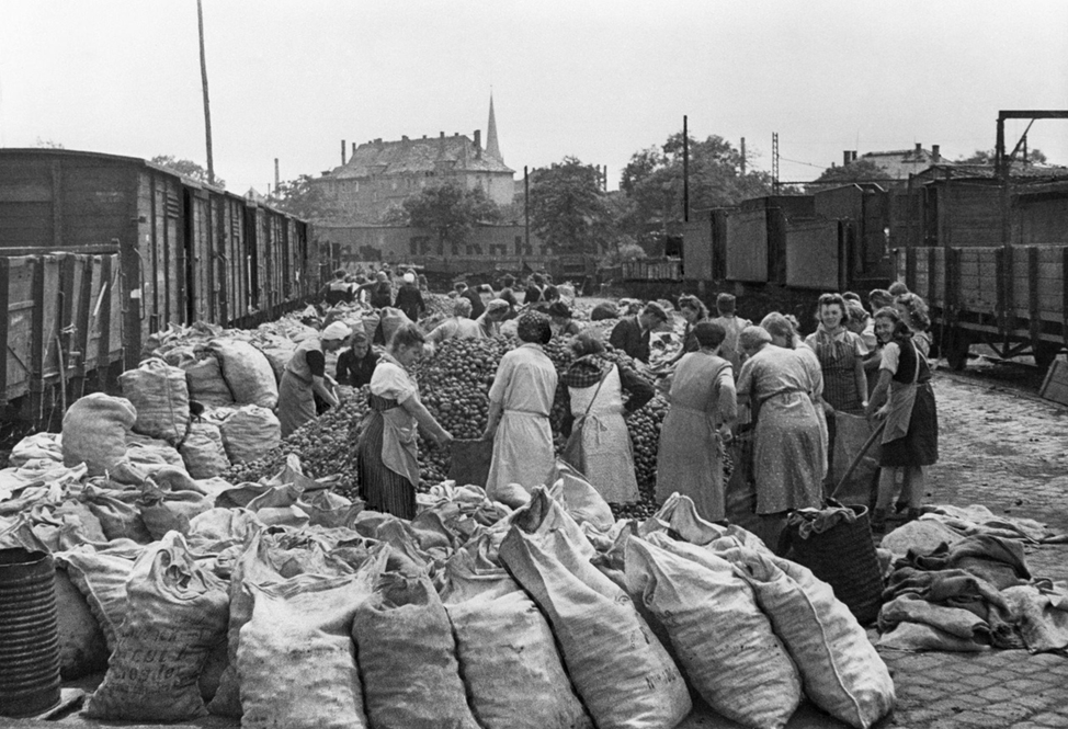 Голод в СССР усугублялся еще и тем, что часть продовольствия шла на экспорт в освобожденные страны Европы. 