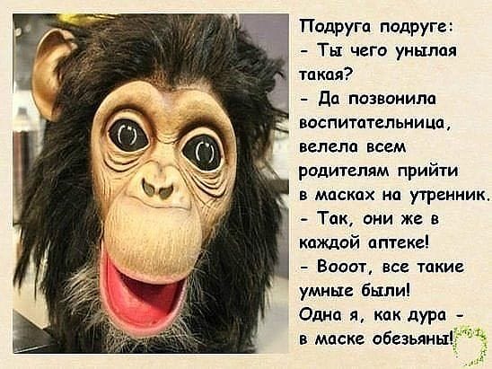 "Муж на час" подал на развод через 39 минут анекдоты,веселые картинки,демотиваторы,юмор