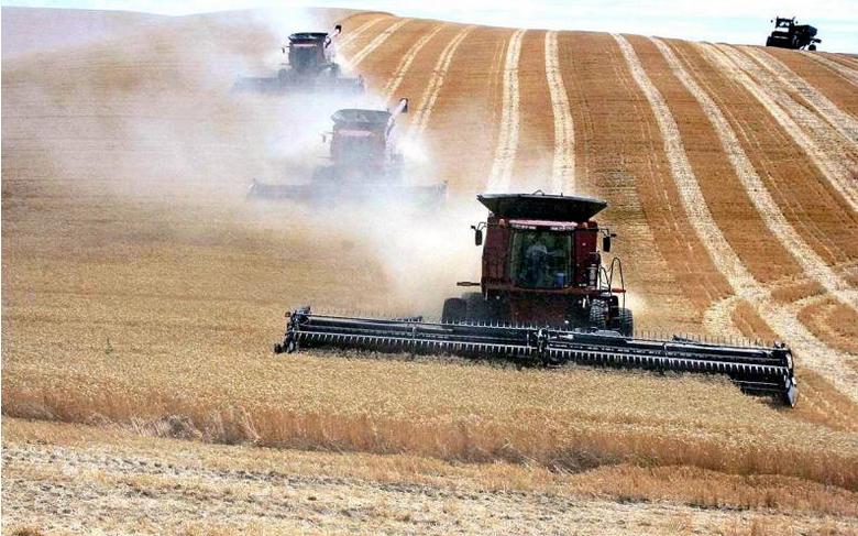 Большая приватизация: Зеленский окончательно закроет «украинский вопрос»