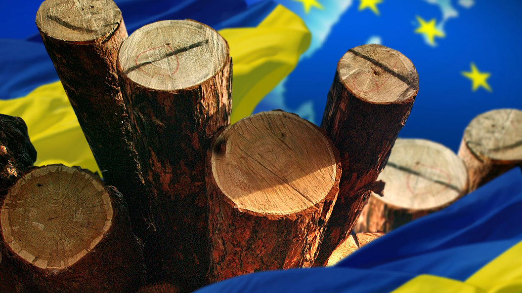 Евросоюз вырубает леса на Украине