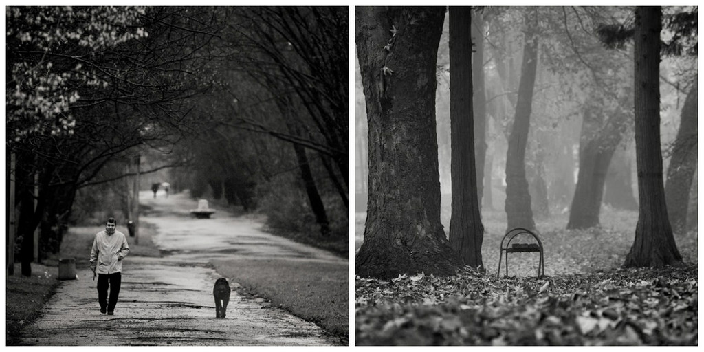 Чёрно-белые снимки с элегичными мотивами 