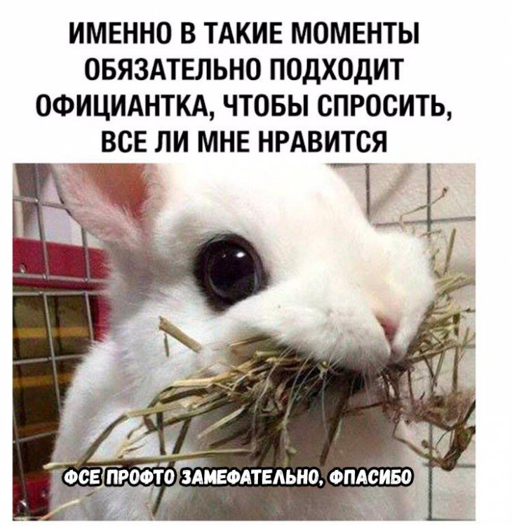 Смешные мемы и картиночки 