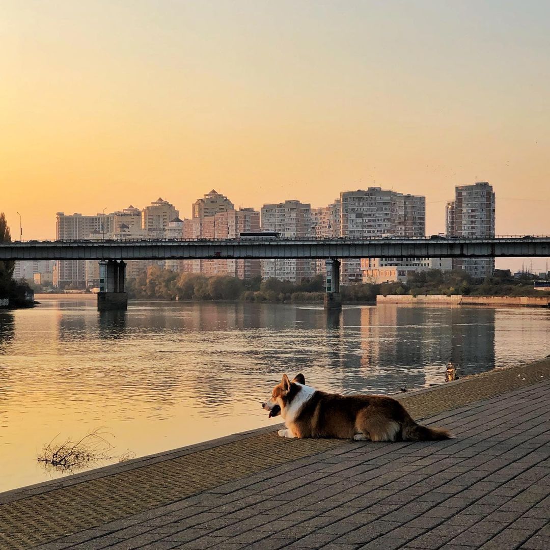 река кубань краснодар