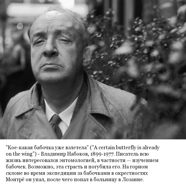 Последние слова знаменитостей перед смертью (20 фото) Последние слова знаменитостей перед смертью (20 фото) юмор