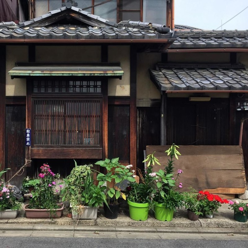 Сад в горшках архитектура, дома, здания, киото, маленькие здания, местный колорит, фото, япония