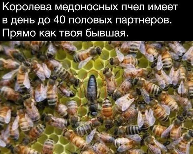 11. А они все не унимаются бывшая девушка, бывшие, обидно, сарказм, фото, шутки