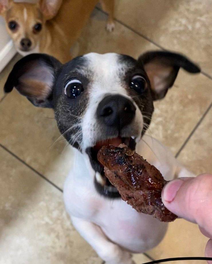 Подборка прикольных картинок Подборка прикольных картинок смешные картинки,фото-приколы,юмор