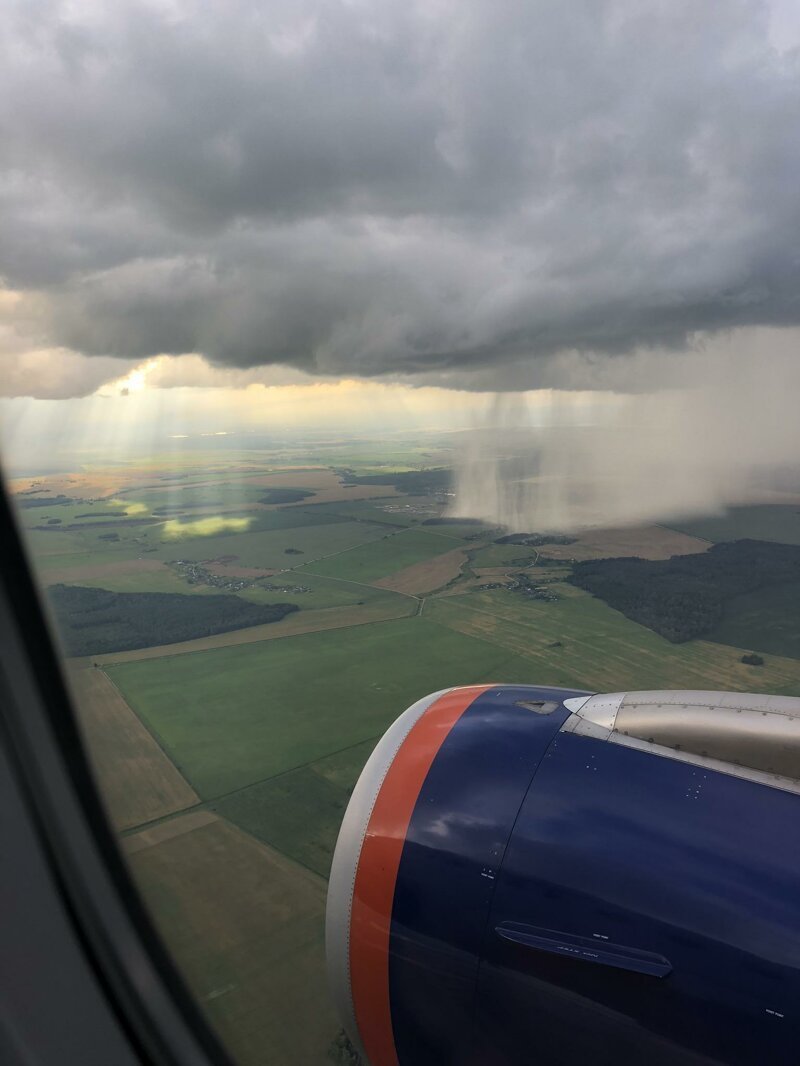 Шутки за 300 от матушки-природы Шутки за 300 от матушки-природы деревья ,интересное, природа , природные явления, растения, шутки