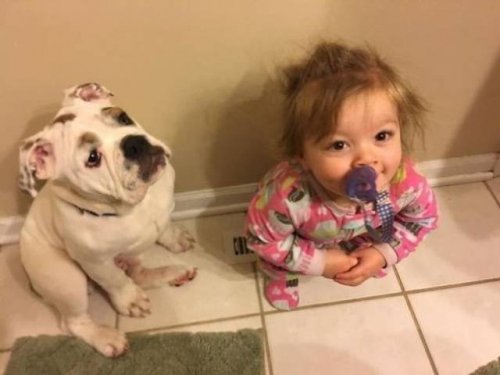 Дети и собаки — лучшие друзья навеки! 