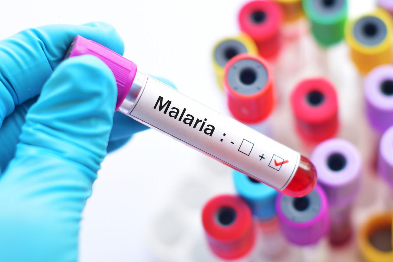 По данным ВОЗ, ежегодно в мире регистрируют более 200 млн случаев малярии