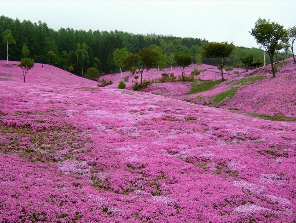 Подборка прикольных и классных фотографий из нашей жизни 