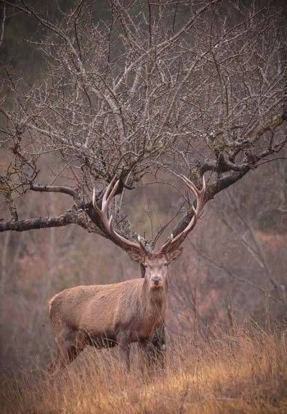 Подборка картинок. Дневной выпуск (54 фото)