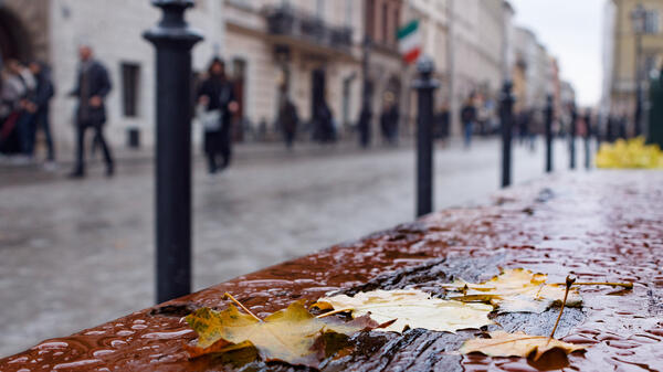 Синоптик Ильин дал прогноз на ноябрьские праздники — задует с Атлантики - свежие новости на Toplenta по теме В мире - новости