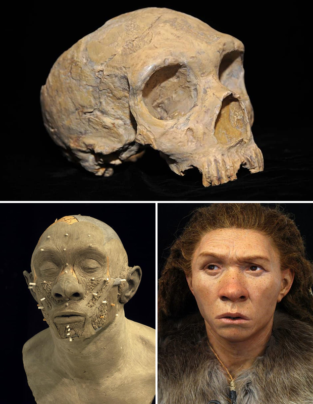 Живущий 2 тысячи лет. Хомо сапиенс первый череп. Неандерталец реконструкция внешности. Реконструкция облика неандертальцев. Реконструкция облика древних людей.