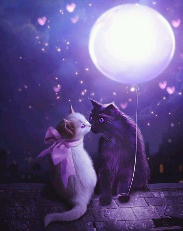 Картинки, приколы и фотографии для улыбки Картинки, приколы и фотографии для улыбки