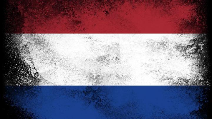 Нидерланды планируют отправить Киеву самоходные артиллерийские установки