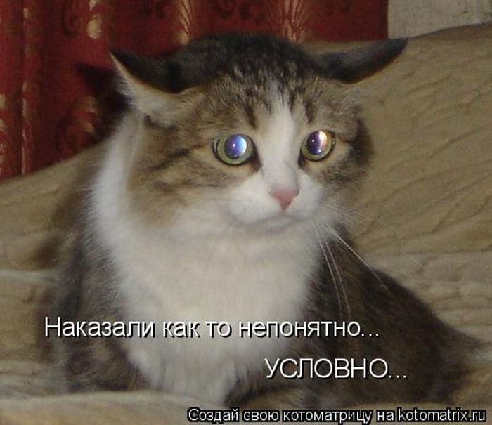 Мысли вслух :)